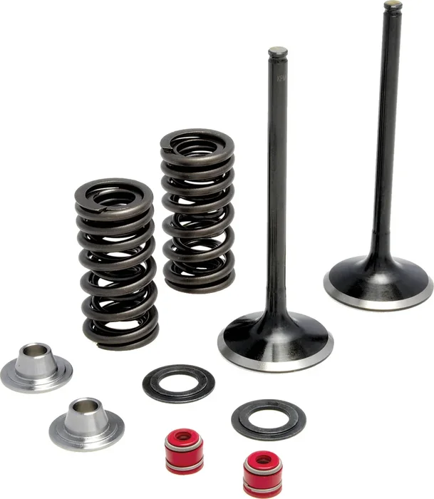 KPMI 30-31210 Intake Valve Spring Kit - Stainless Steel Engine Upgrade for Enhanced Performance & Durability