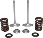 KPMI Intake Valve Spring Kit - Stainless Steel Replacement for Enhanced Engine Performance